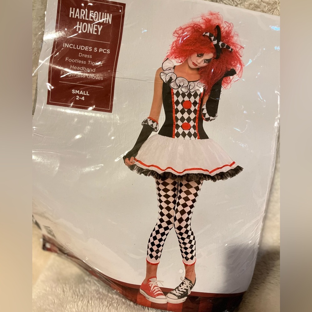 Harleyquin Honey costume